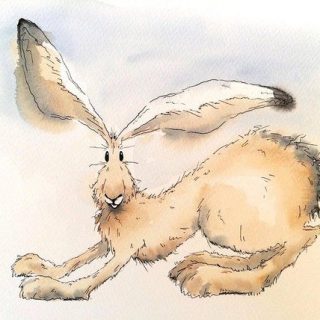 Кролик рисунок и картинки (26)