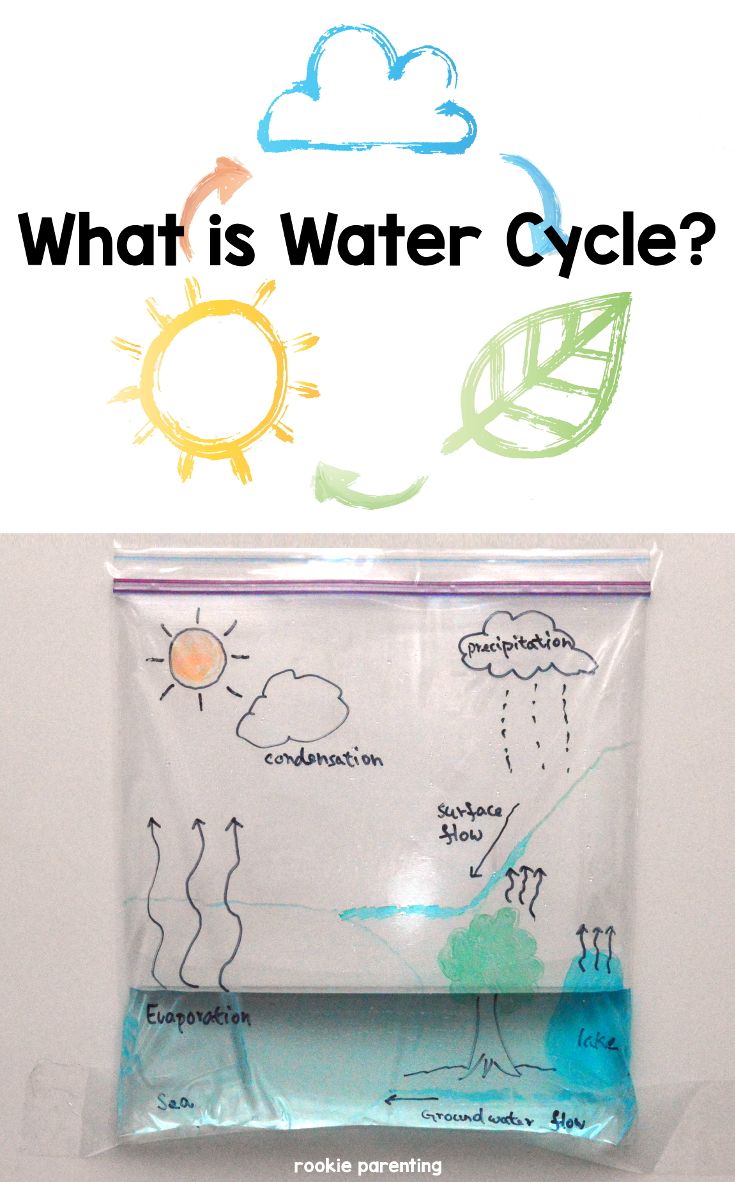 Круговорот воды в природе рисунки для детей (3)