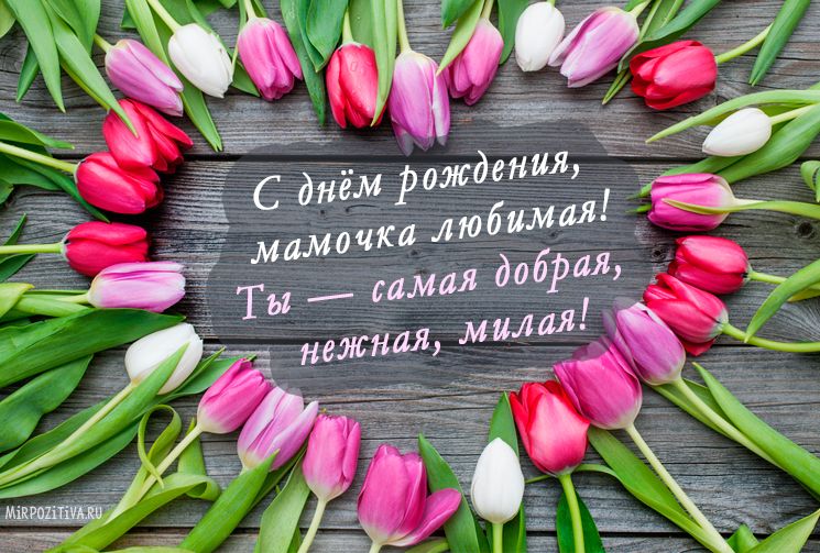 Открытки с днем рождения женщине красивые цветы тюльпаны (16)