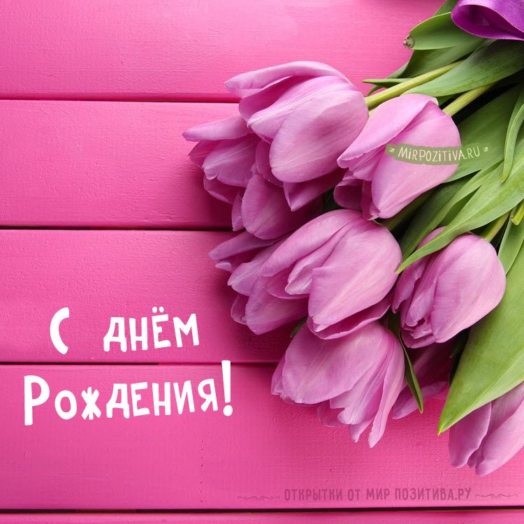 Открытки с днем рождения женщине красивые цветы тюльпаны (19)