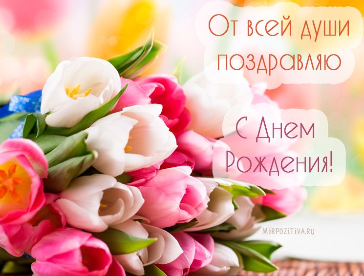 Открытки с днем рождения женщине красивые цветы тюльпаны (8)