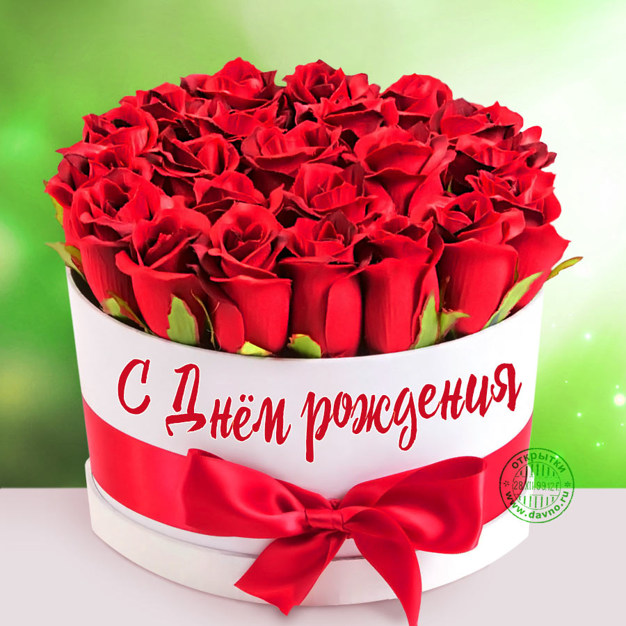 С днем рождения картинки розы красивые для девушки (14)