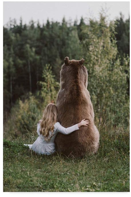 Смешные картинки с медведями   подборка (18)