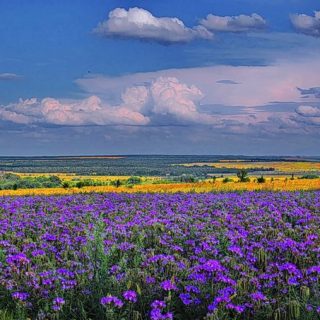 Природа Донского Края Фото