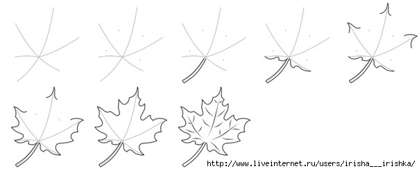 Как поэтапно нарисовать осенний лист карандашом для начинающих   рисунки (1)