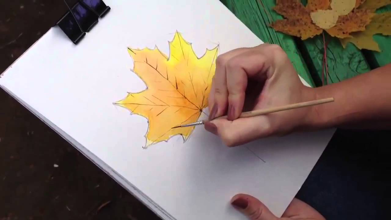 Как поэтапно нарисовать осенний лист карандашом для начинающих   рисунки (26)