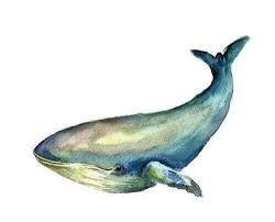 Тумблер картинки для срисовки кит - подборка (11)