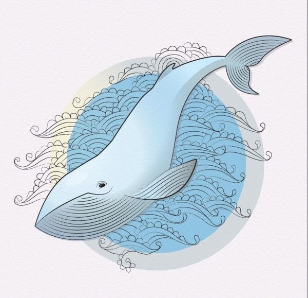 Тумблер картинки для срисовки кит - подборка (19)