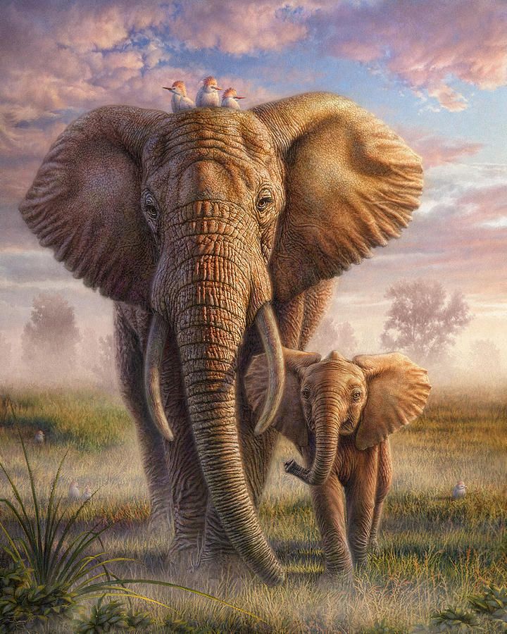 Удивительные картинки со слоном рисованные (28)
