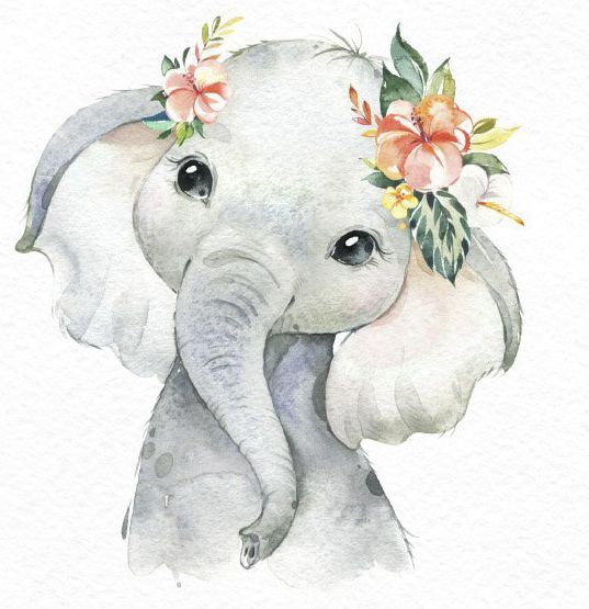 Удивительные картинки со слоном рисованные (7)