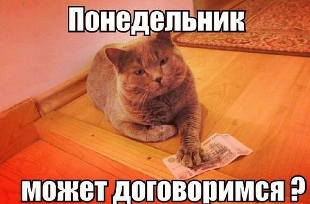 %D0%98-%D1%81%D0%BD%D0%BE%D0%B2%D0%B0-%D0%BF%D0%BE%D0%BD%D0%B5%D0%B4%D0%B5%D0%BB%D1%8C%D0%BD%D0%B8%D0%BA-%D0%B8-%D1%81%D0%BD%D0%BE%D0%B2%D0%B0-%D0%BD%D0%B0-%D1%80%D0%B0%D0%B1%D0%BE%D1%82%D1%83-%D0%BA%D0%B0%D1%80%D1%82%D0%B8%D0%BD%D0%BA%D0%B8017.jpg