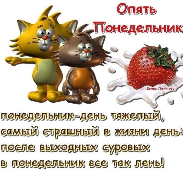 День недели юмор