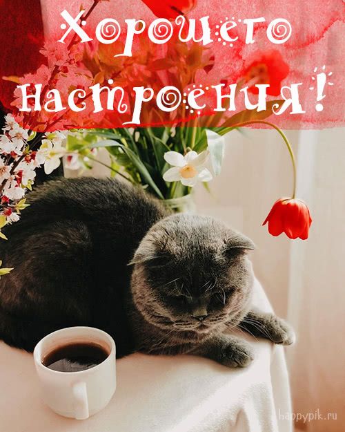 Happypik ru картинки с добрым утром красивые