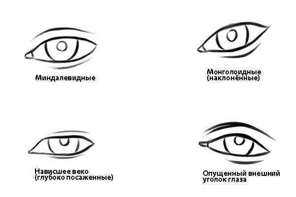 Миндалевидные глаза как нарисовать