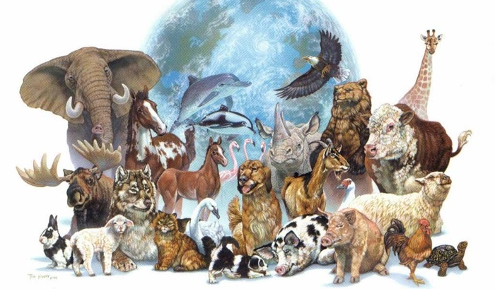 4 октября Всемирный день животных010