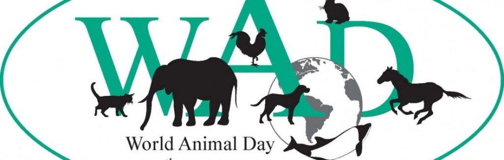 4 октября всемирный день защиты животных картинки003