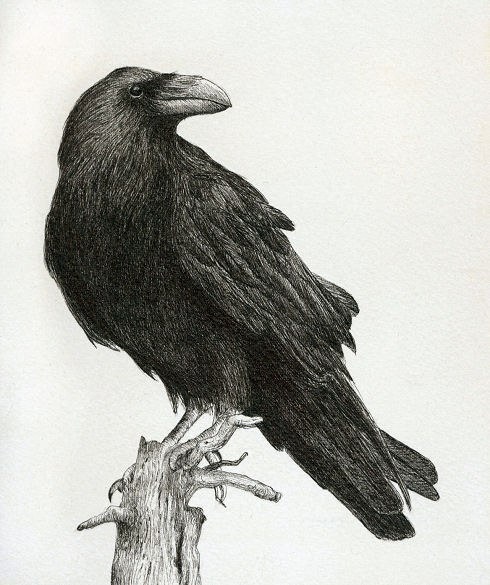 Ворона рисунок тату и эскизы013