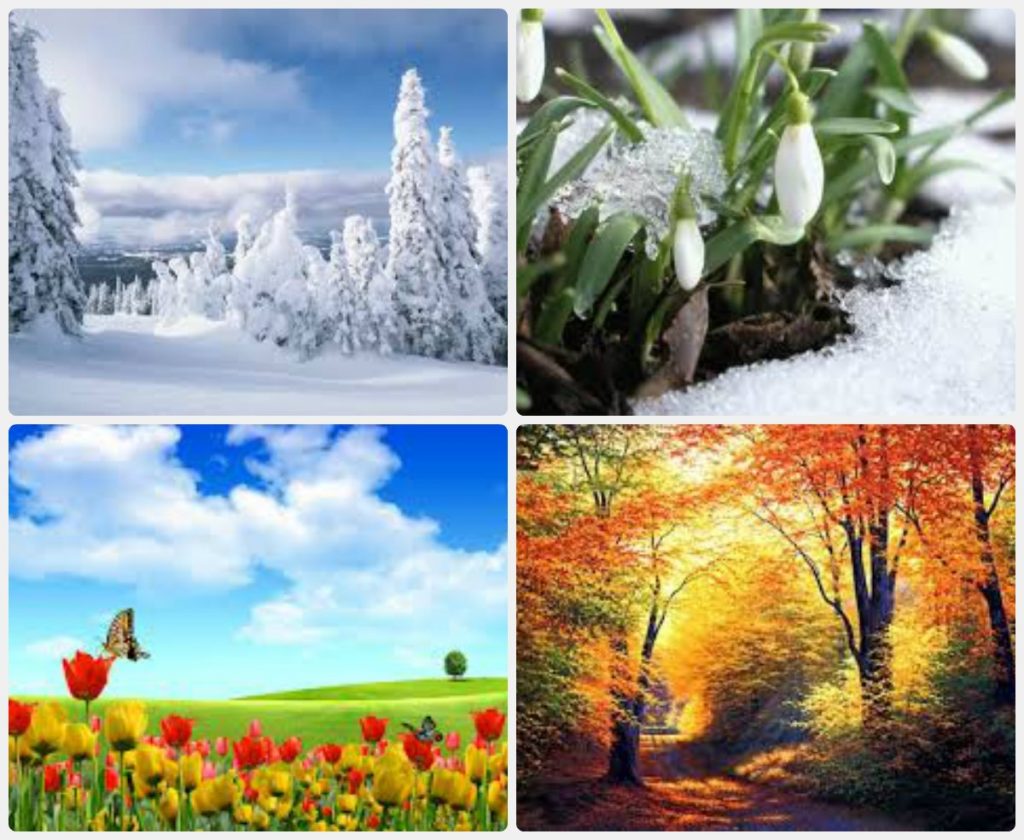Картинки природа красивые времена года