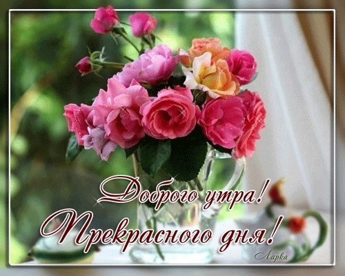 Доброе утро друзья розы красивые открытки и гифы анимированные011
