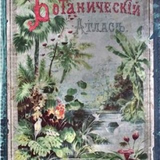 Картинки ботанический атлас растений005