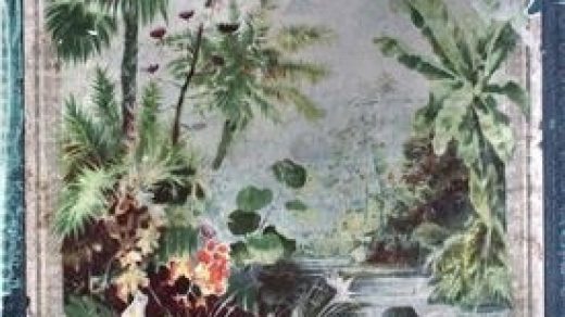 Картинки ботанический атлас растений005
