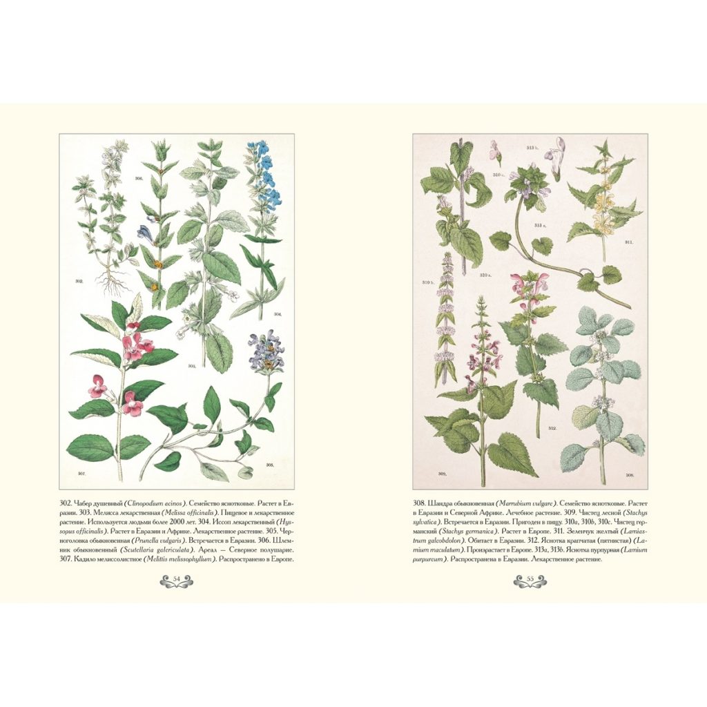 Картинки ботанический атлас растений021