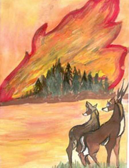 Картинки и рисунки на тему пожар в лесу003