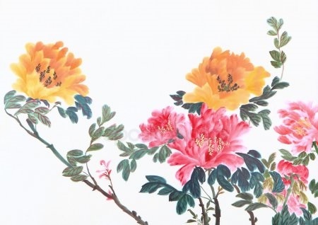 Китайские цветы рисунки и картинки002
