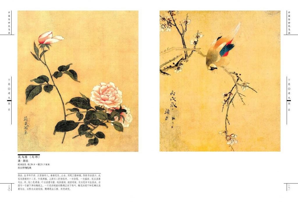 Китайские цветы рисунки и картинки003
