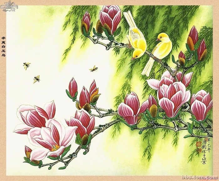 Китайские цветы рисунки и картинки014