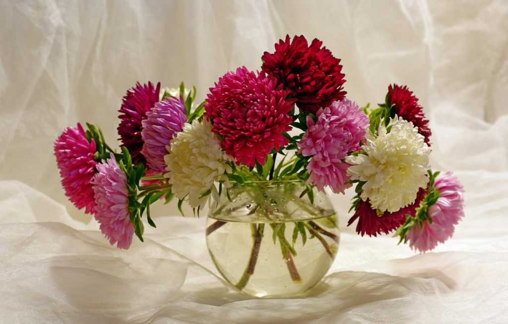 Классные картинки на рабочий стол октябрь цветы (15)