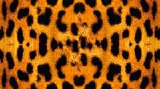 Красивые картинки леопардовый фон011