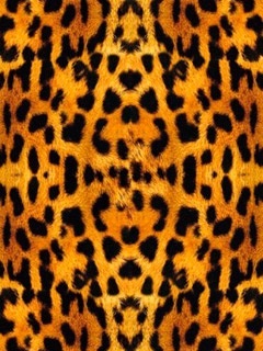 Красивые картинки леопардовый фон011
