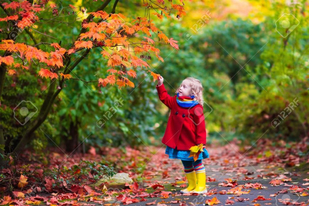 Красивые картинки осень девушка с листьями для детей (14)