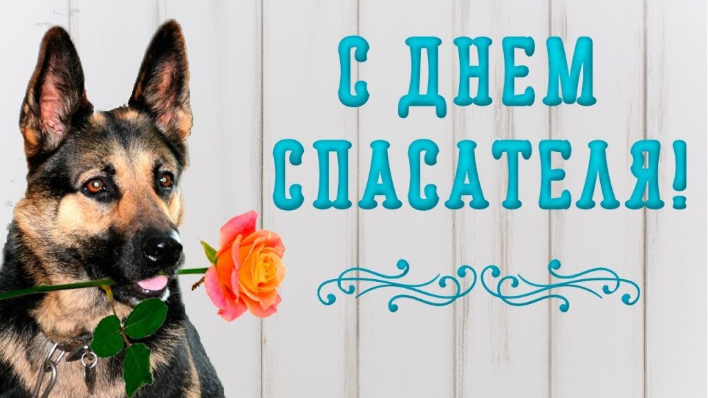 Красивые картинки с днем спасателя Украины - подборка открыток (13)