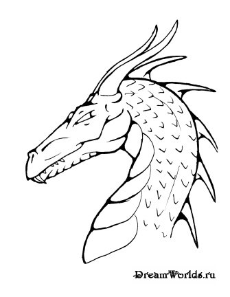 Красивые картины дракона карандашом (14)