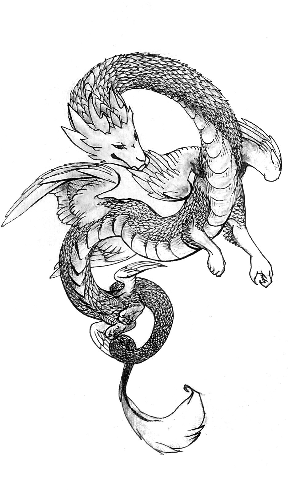 Красивые картины дракона карандашом (25)