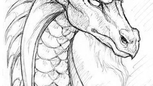 Красивые картины дракона карандашом (3)