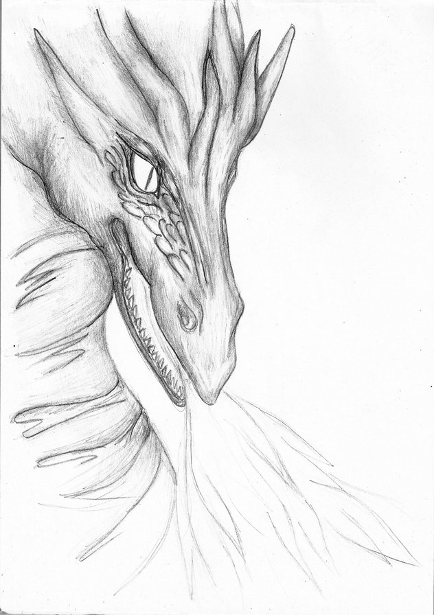 Красивые картины дракона карандашом (30)