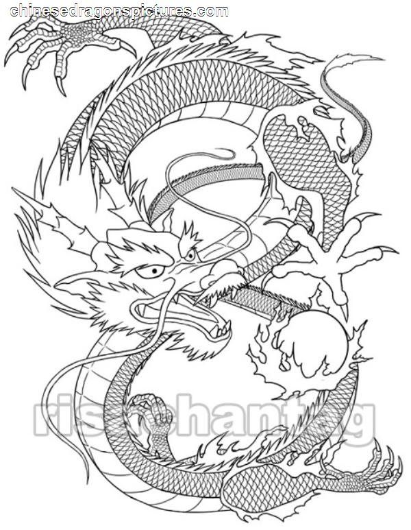 Красивые картины дракона карандашом (31)