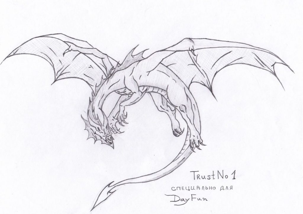 Красивые картины дракона карандашом (36)