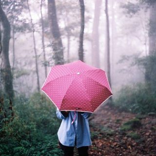 Красивые фото девушек осенью со спины с зонтом (21)
