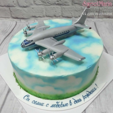 Красивый торт с рисунком самолета006