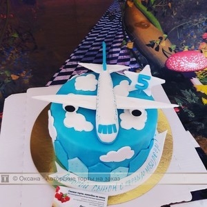 Красивый торт с рисунком самолета008