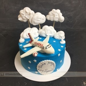 Красивый торт с рисунком самолета014