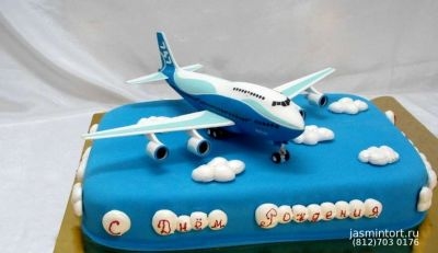 Красивый торт с рисунком самолета027