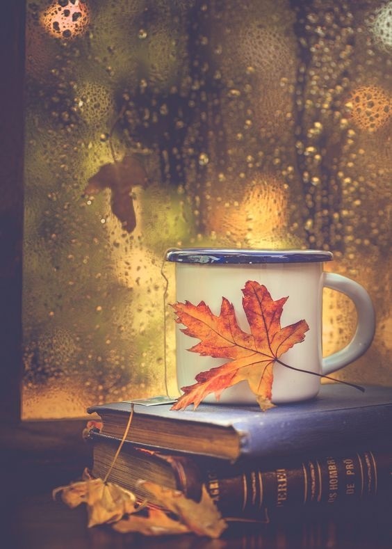 Осенние листья и кофе картинки красивые и милые010