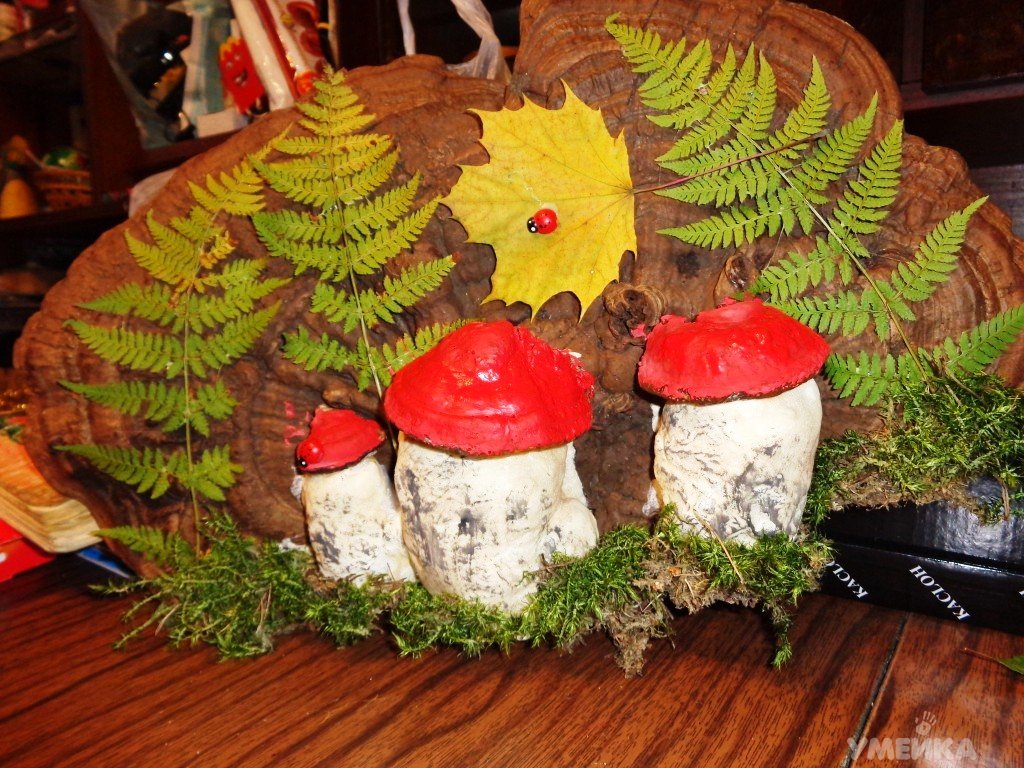 Осенний лес с грибами картинки для детей (19)