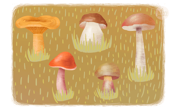 Осенний лес с грибами картинки для детей (5)