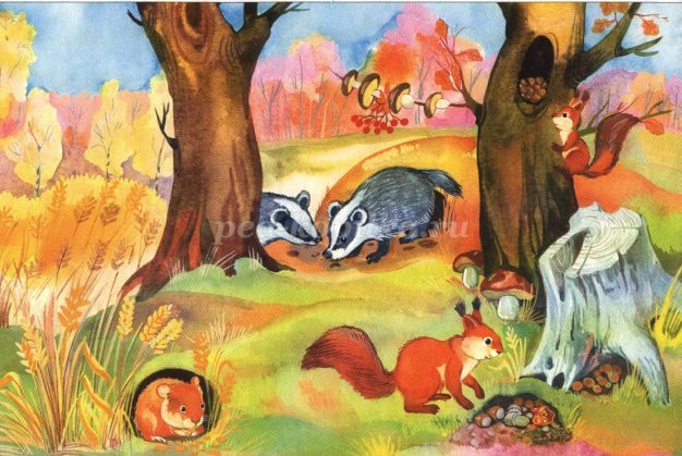 Осенний лес с грибами картинки для детей (7)